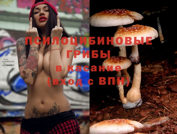 MDMA Аркадак
