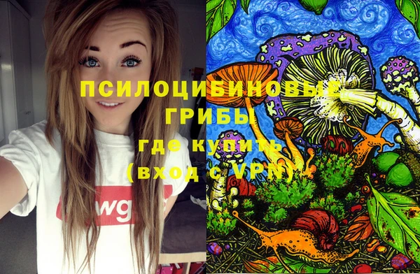 тгк Армянск