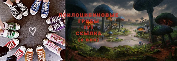 тгк Армянск