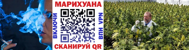 Бошки марихуана LSD WEED  маркетплейс официальный сайт  Солигалич 